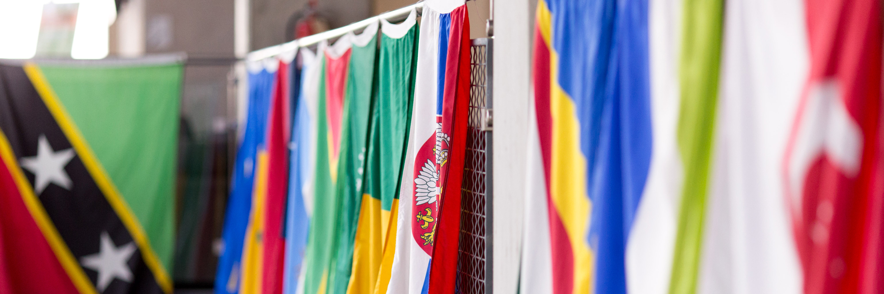 international flags
